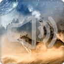 Wolf Sounds Ringtone APK