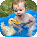 Cute Baby Video App APK