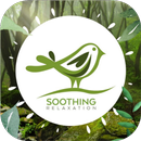Soothing Relaxation APK