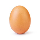 Incredible Egg icône