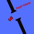 Haydi Yakala-Eğlenceli:TEOG