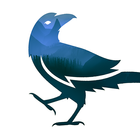 Raven's Night icon