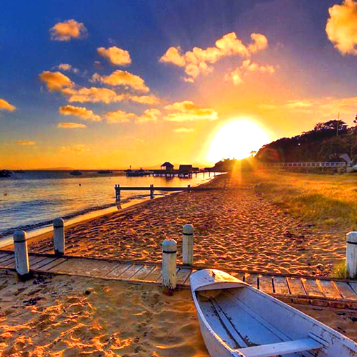 Лето Живые Обои