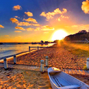 Summer Live Wallpaper APK