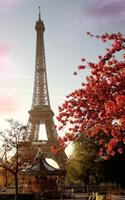 Sunny Paris Live Wallpaper ภาพหน้าจอ 1