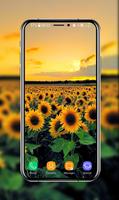 Sunflower Wallpapers screenshot 3