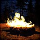 Silver Falls - Campfire Stories-APK
