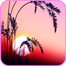 Sunrise Wallpaper APK