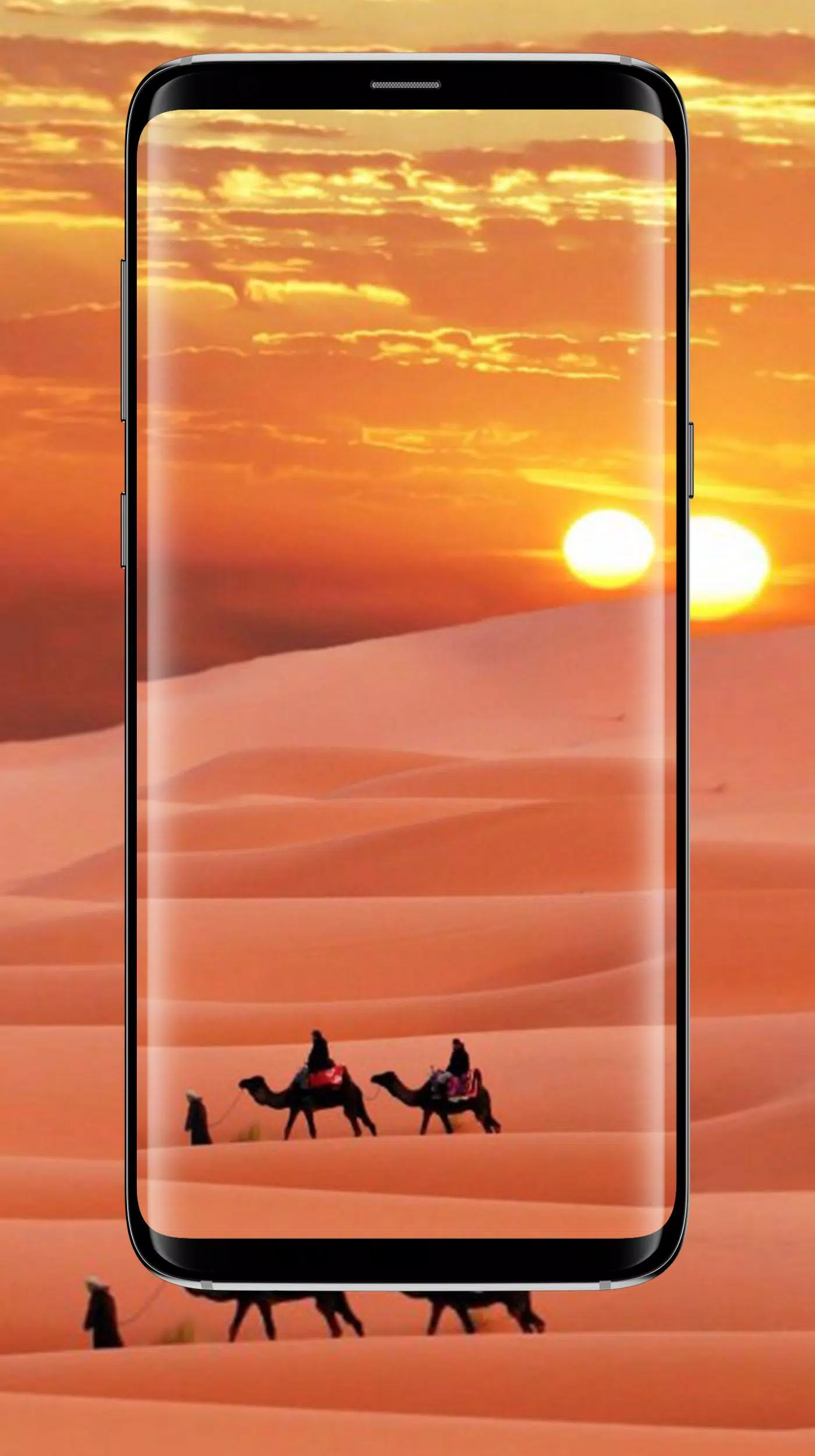 Sunset With Animal Planet Wallpaper 4K APK for Android Download Sunset With Animal Planet Wallpaper 4K APK for Android Download