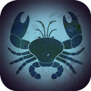 Sunset Fighting Crab APK