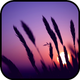 Sunset Wallpaper simgesi