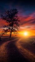 Sunset Wallpaper gönderen