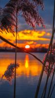 Sunset Wallpaper Ekran Görüntüsü 2