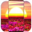 Sunset Wallpaper HD APK