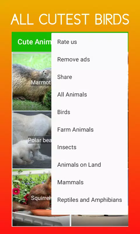 Cute Animal Ringtones APK for Android Download