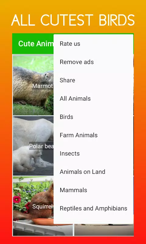 Cute Animal Ringtones APK for Android Download Cute Animal Ringtones APK for Android Download