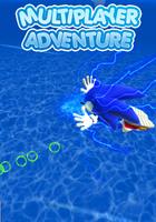 Subway Dash Hedgehog 海报