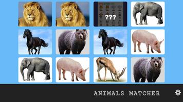 Memory Game - Animals स्क्रीनशॉट 1