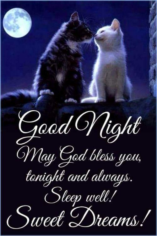 Sweet Dreams And Good Night For Android Apk Download Sweet Dreams And Good Night For Android Apk Download