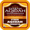 سيرة عقيدة ضوئية