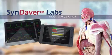 EKG Simulator