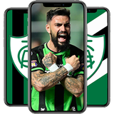 America-MG Wallpapers APK