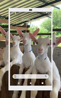 Papéis de Parede com Animais de Fazenda em HD تصوير الشاشة 3