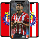 Chivas Guadalajara Wallpapers أيقونة