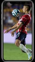 Chivas Guadalajara Wallpapers تصوير الشاشة 1