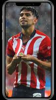 Chivas Guadalajara Wallpapers تصوير الشاشة 2