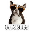 Dog Stickers - WAStickerApps