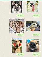 Figurinhas de Cachorros imagem de tela 2