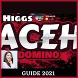 higgs domino aceh guide