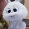 Snowball Stickers Animated