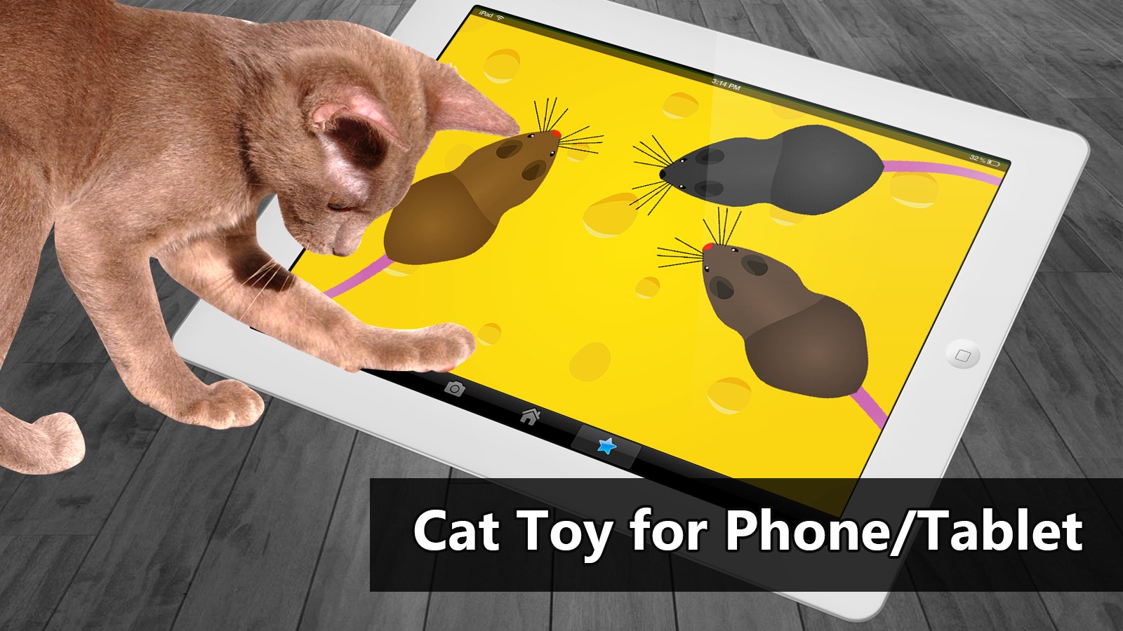 Cat Toys MouseHunt Cat Games APK for Android Download