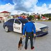 ”Police Car 3D Game