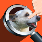 Find The Differences: Spot It! icono