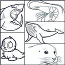 How To Draw Saltwater Fish APK