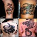 Dessin Tatouage Serpent