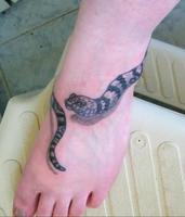 Dessin Tatouage Serpent Affiche