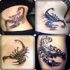 Drawing Tattoo scorpion APK
