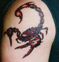 Dessin Tatouage scorpion Affiche