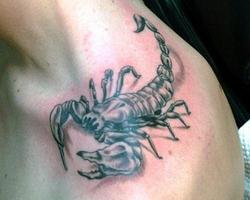 Dessin Tatouage scorpion capture d'écran 1