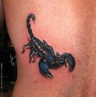 برنامه‌نما Drawing Tattoo scorpion عکس از صفحه