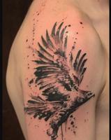 Dessin Tatouage Aigle 截圖 3
