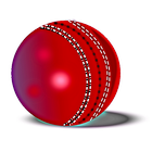 Hit Cricket HD- Mobile Finger League icône
