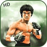 Bruce Lee Wallpapers Full HD