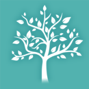 Inner Calm x VR APK