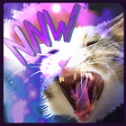 NekoNeko Wars icon