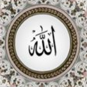 Litequran For Android Apk Download